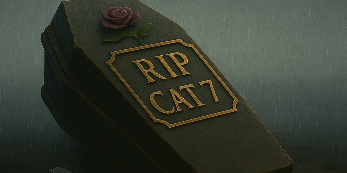 The Rise and Fall of Category 7 (Cat 7)